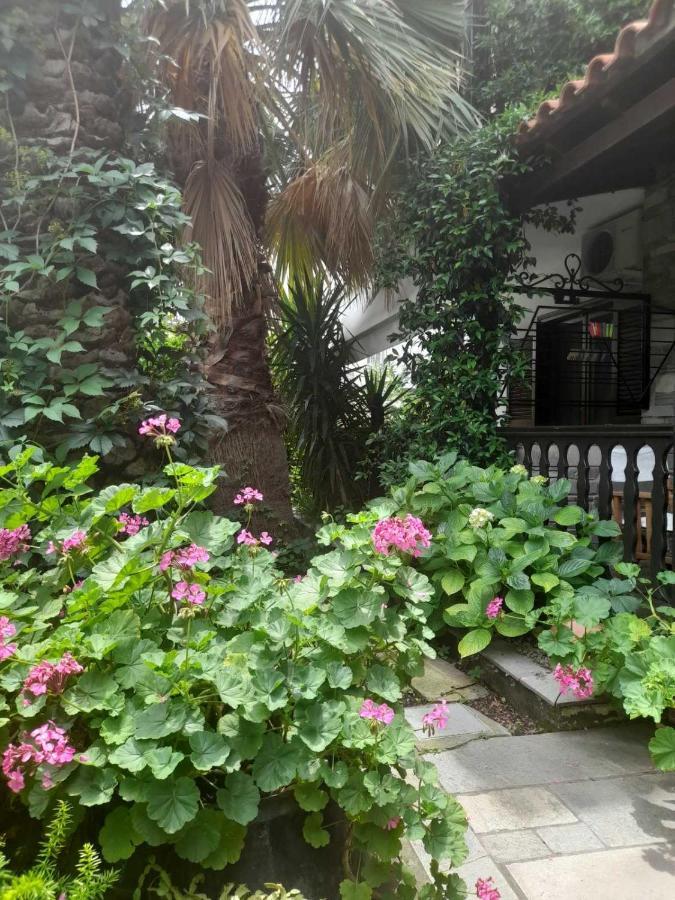 Papatzikos Traditional Guesthouse Neos Marmaras Zewnętrze zdjęcie
