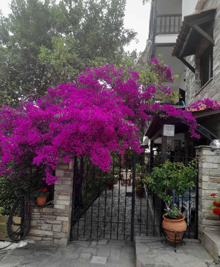Papatzikos Traditional Guesthouse Neos Marmaras Zewnętrze zdjęcie